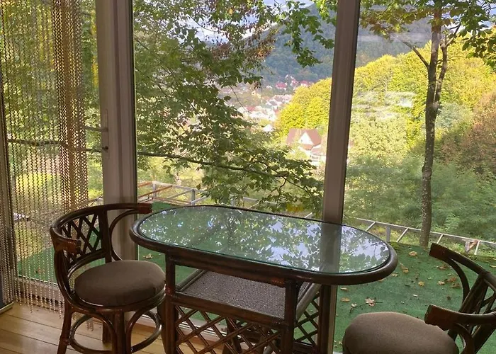 панорама Shaian